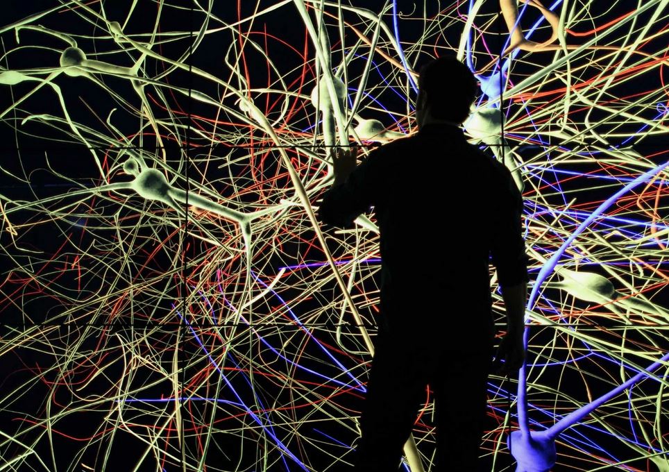Промяна на Жизнената Линия чрез Създаването на Нови Невронни Връзки